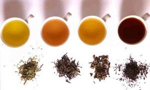 أنواع الشاي الأسود والأبيض والأخضر والصيني الأسود 